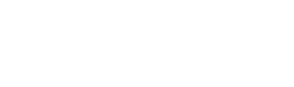 Logotipo INA