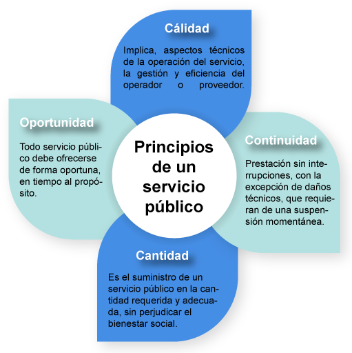 Principios del servicio publico